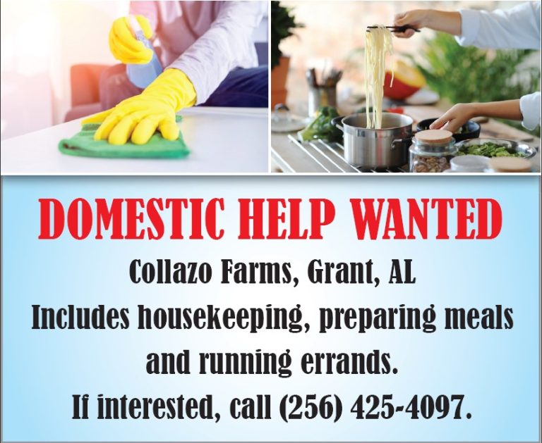 collazodomestichelp